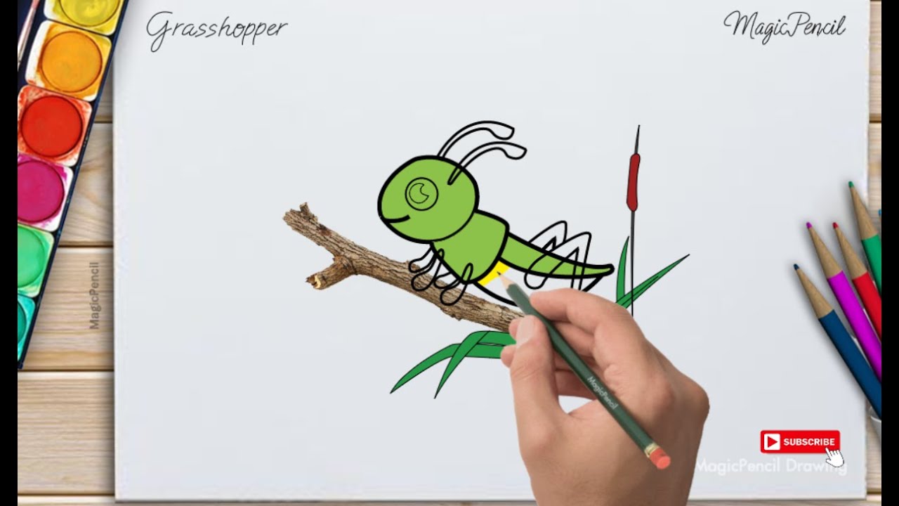 How to draw a grasshopper step by step easy with Magic Pencil Drawings