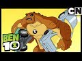 Xadrez No Trânsito | Ben 10 em Português Brasil | Cartoon Network