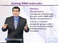 BT301 Introduction to Biotechnology Lecture No 80