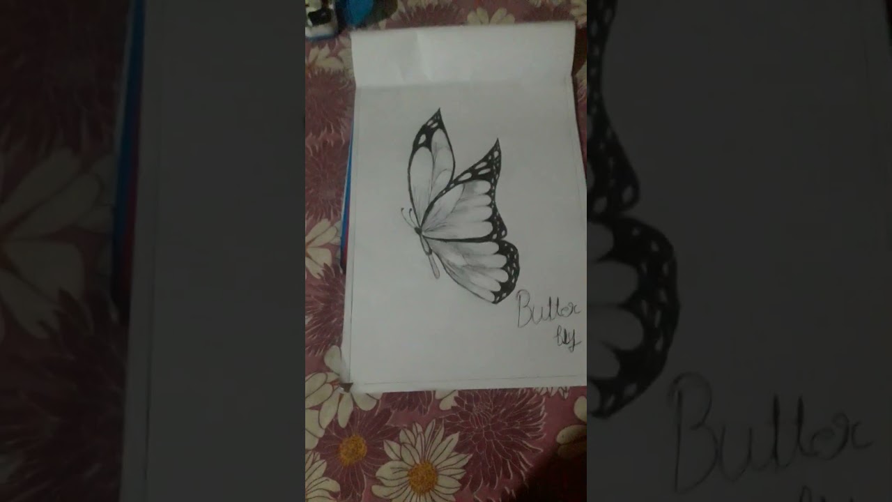 Butter Fly Drawing