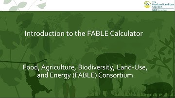 0. Introduction to the FABLE Calculator