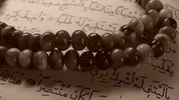 سورة التغابن _ محمود عبدالحكم