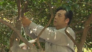 代々木公園に採集器 蚊のデングウイルス調査