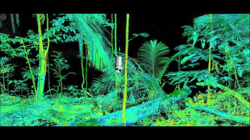 3D model of the Amazon forest constructed using Terrestrial Laser Scanning