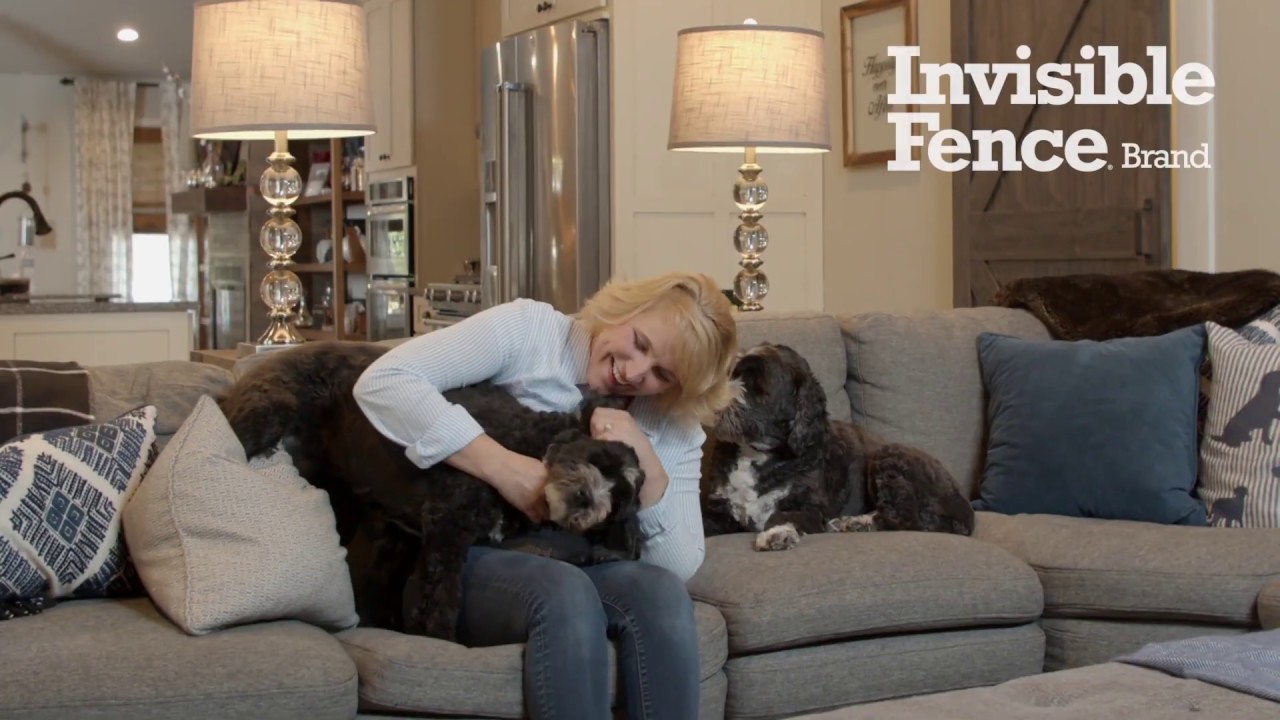 Invisible Fence® Brand Shields Gate