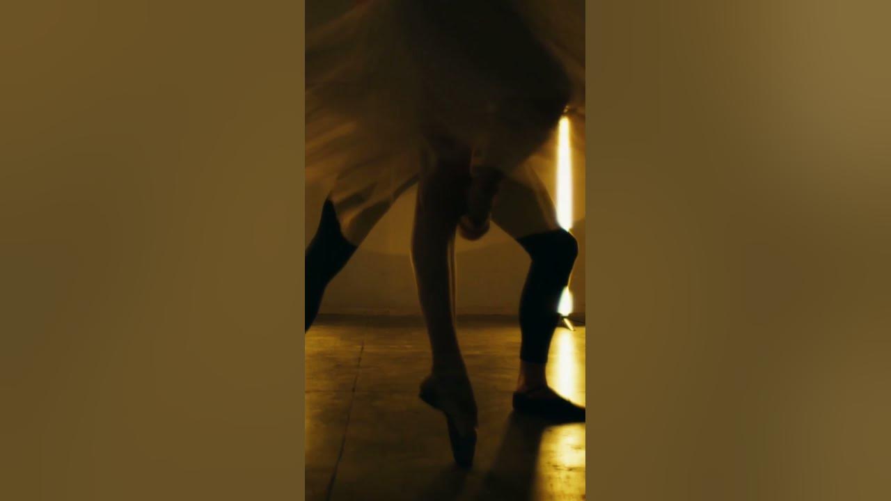 Ballet - Music by Tchaikovsky Swan Lake from the Montreal Symphony Orchestra.  Fantasy video.