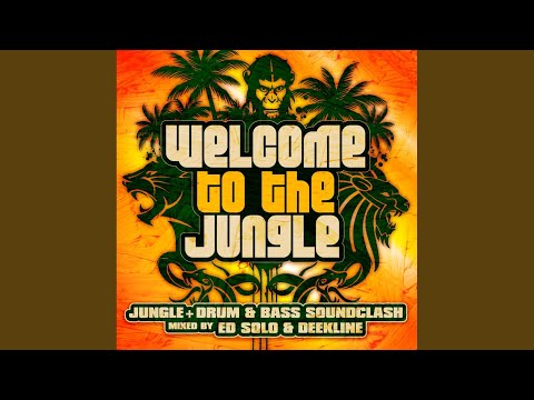 Reggae Warrior (Ed Solo & Stickybuds Remix)
