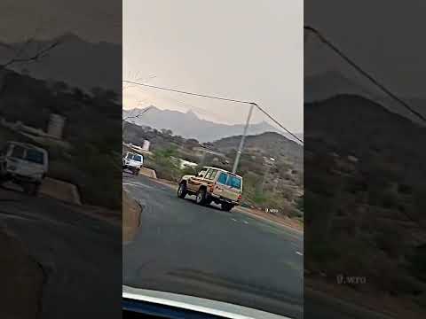 بدوون حقوق اقوى تصميم شيلة يالغالي على هونك 2022 هجوله ربع