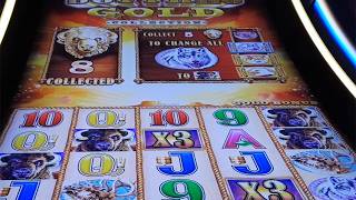 Nice Buffalo And Sunsets x3x3 GREAT BONUS WIN On Buffalo Gold Slot Machine - SunFlower Slots