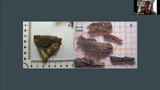 Ramon Suarez - Module 2 Case Study - FOR 502 Forensic Botany