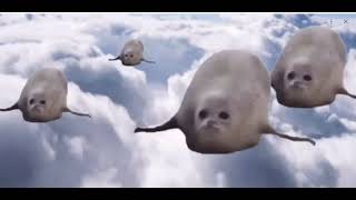 Funniest GIF