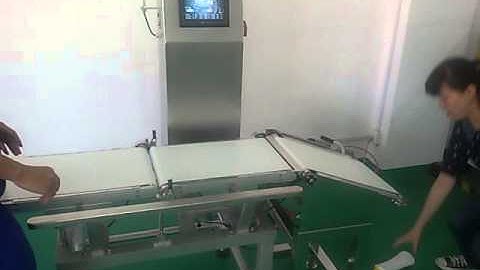 IXL 300  with partial belt flap rejector