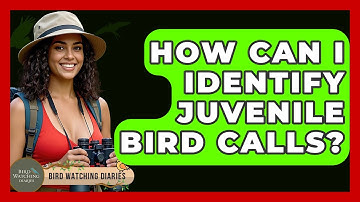 How Can I Identify Juvenile Bird Calls? - Bird Watching Diaries