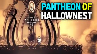 Attempting to Beat the Absolute Radiance in Hollow Knight Live