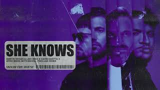 Dimitri Vegas & Like Mike x David Guetta x Afro Bros - She Knows [with Akon] [Freejak Remix] Resimi