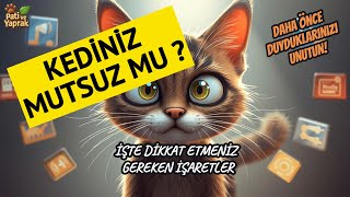 Kediniz Mutsuz Mu? İşte Dikkat Etmeniz Gereken İşaretler Resimi