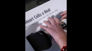 Give Heart Cells a Beat: Visitor Reactions