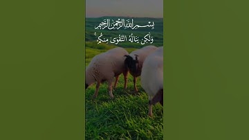 تلاوة خاشعة ومؤثرة بصوت جذاب ومؤثر #القرآن_الكريم #تلاوة_خاشعة #تلاوة_مؤثرة #اكسبلور #لايك #دويتو