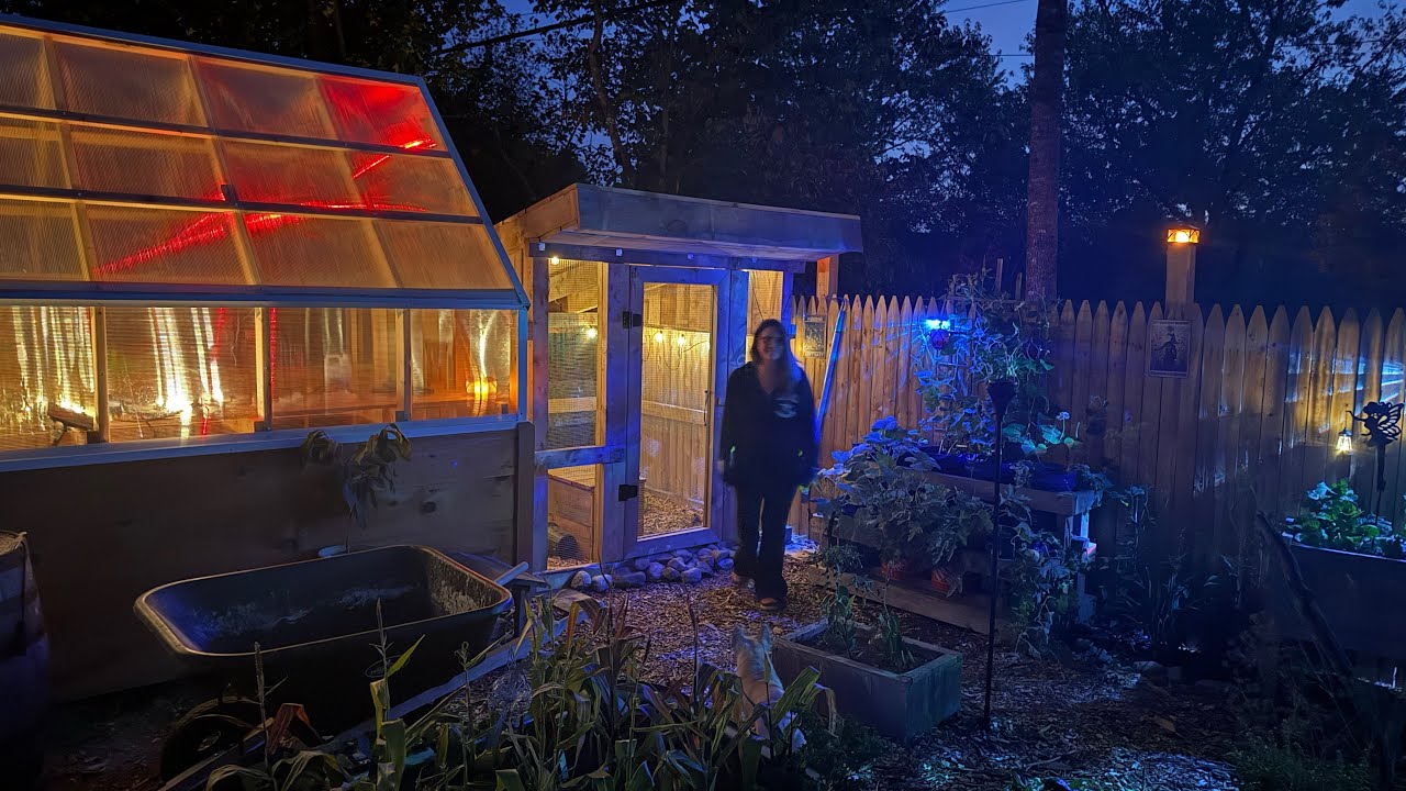Transforming a parking area into a relaxing garden space. 