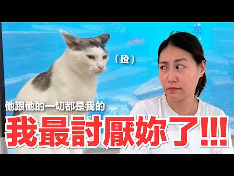 【Lady Flavor】I hate you so much!!! He and everything about him belongs to me | Flavor Cat Daily 277