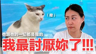 一牙佔有慾大爆發！抓姦卡位、討摸失敗落寞背影全紀錄