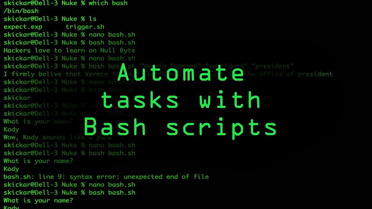 Bash Batch Script