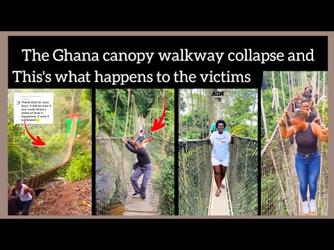Ghana Canopy Walkway Where Tourist Visit Most Just Collapsed And This S What Happens 