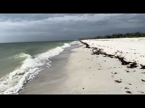 POV: You Are Walking on the Beach (Old Fashioned ASMR)
