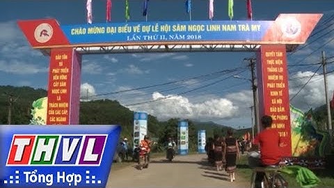 THVL | Độc đáo lễ hội thi sâm Ngọc Linh