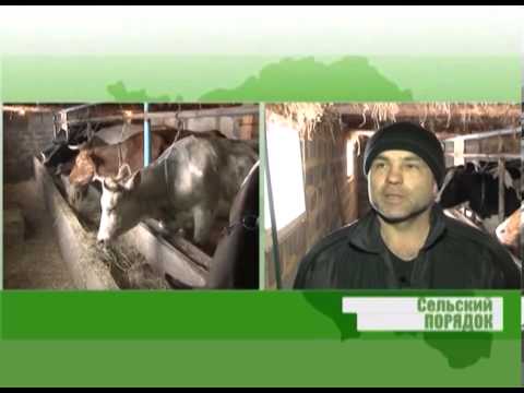 Программа сельский час