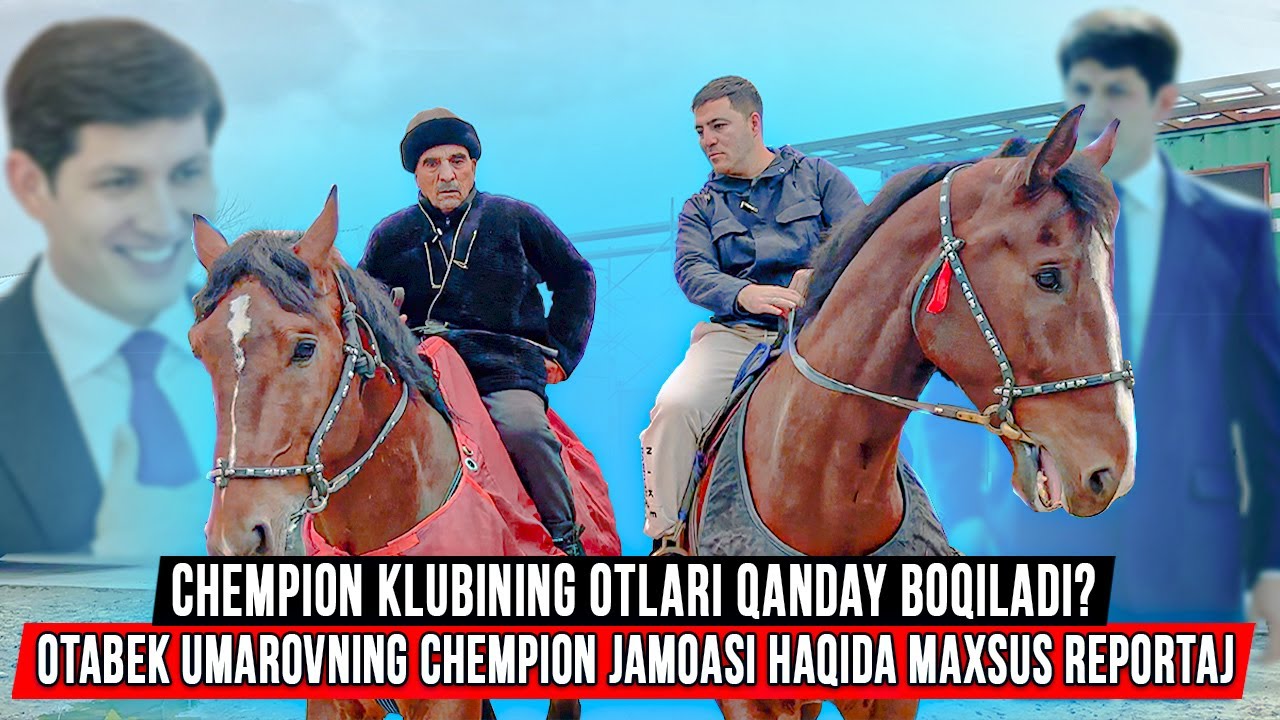 Chempion klubining otlari qanday boqiladi? Otabek Umarovning chempion jamoasi haqida maxsus reportaj