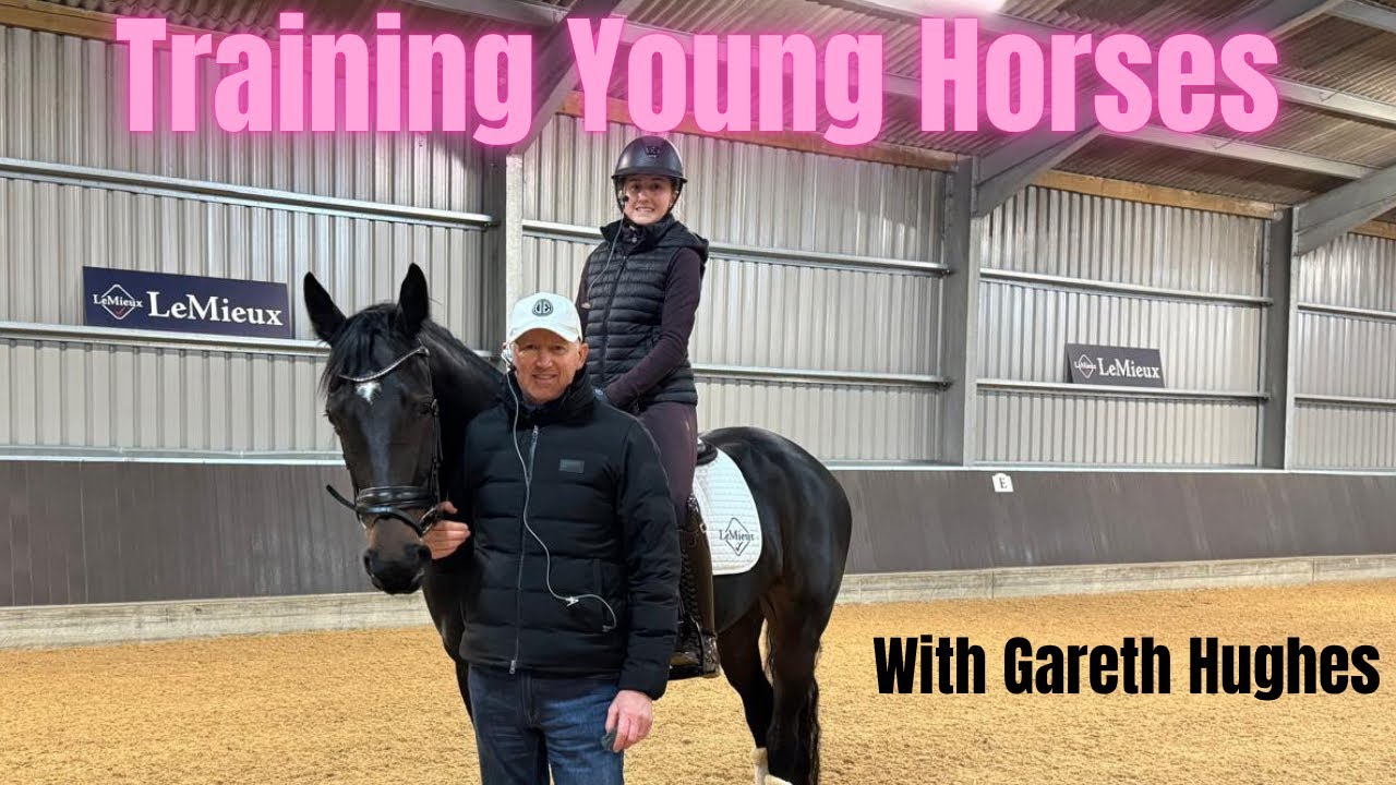 Гарет Хьюз — Основы баланса и переходного тренинга для молодых лошадей 🎓⭐️