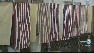 Hawaii Supreme Court weighs in on two election races
