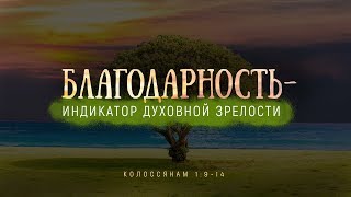 Благодарность — индикатор духовной зрелости (Алексей Коломийцев)