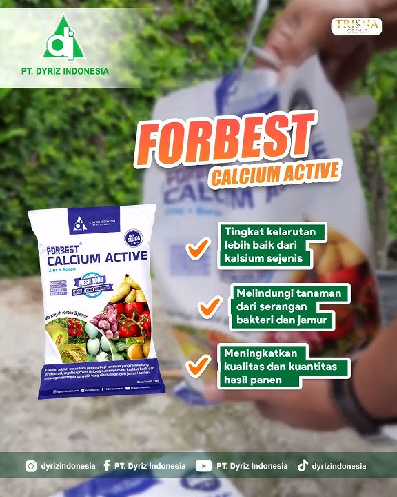 forbest kalsium aktif