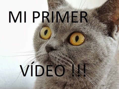 camera iphone 8 plus apk Mi primer video, COTILLA. Juego Dogfight 2