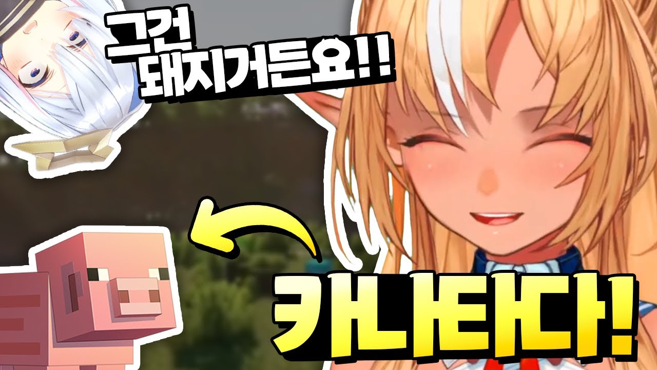 이젠 고릴라 취급도 받지 못하는 카나타소..