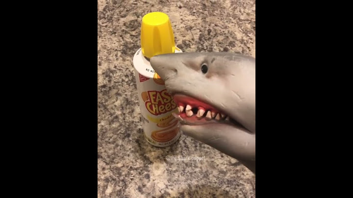 Shark Puppet eats cheese