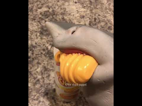 shark-puppet-eats-cheese