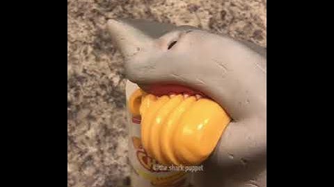 Shark Puppet eats cheese