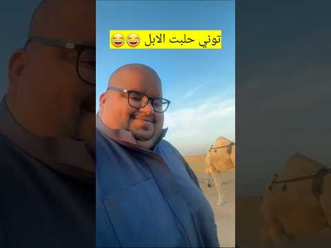 ابو مرداع يحلب الابل ابو مرداع 