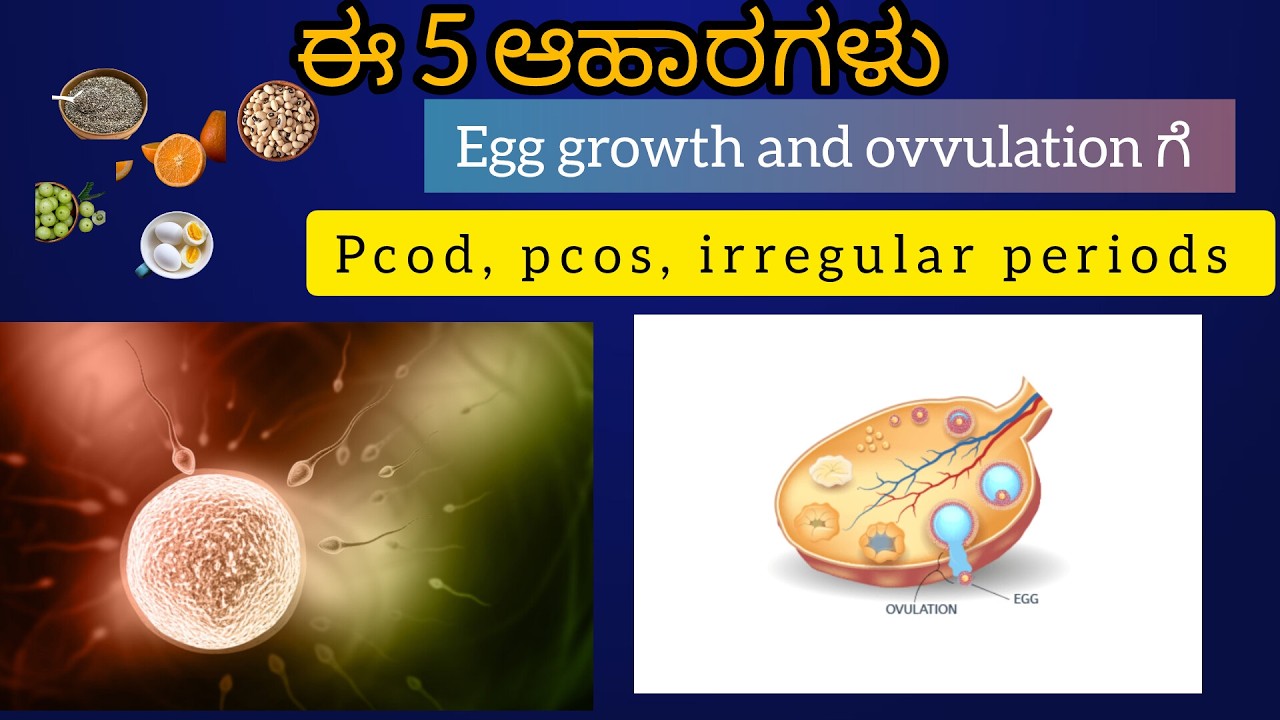 Egg growth and ovulation healthy tips in kannada | Healthy fertility