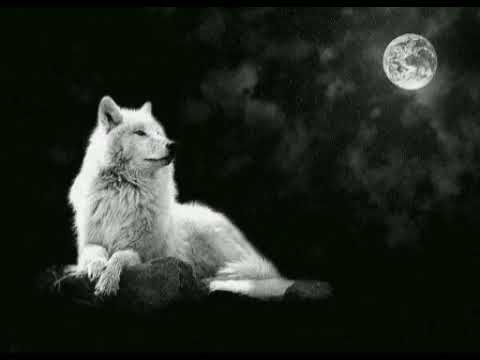 اغنيه احمد كامل يا ليل