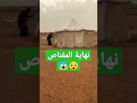 نهاية المقناص السعودية الكويت الامارات قطر اشتراك السعودية الكويت الامارات قطر