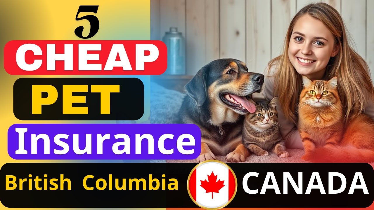 Top 5 Cheapest Pet Insurance in British Columbia Canada 2025 | Best Budget Coverage for Pets