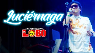 El Lobo - Luciérnaga (Aniversario N°38)
