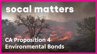 California Proposition 4: Environmental Bonds | SoCal Matters
