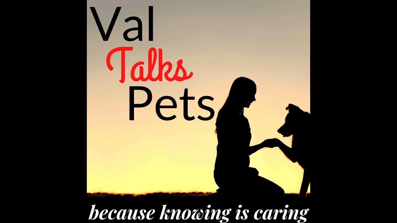 Trends For 2025 - Audio