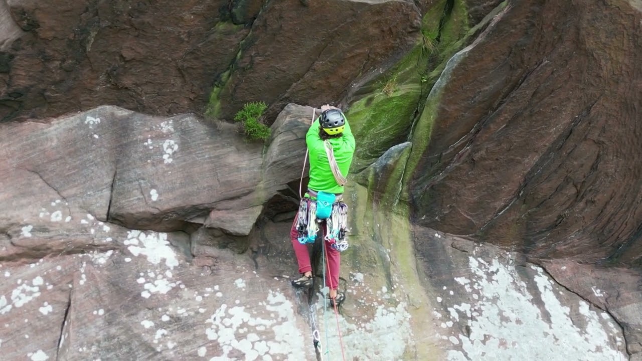 Roaches - The Sloth HVS 5a (Top 50)