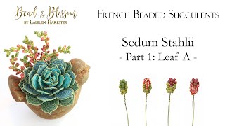 French Beaded Succulents  |  Sedum Stahlii Part 1 of 3: Leaf A